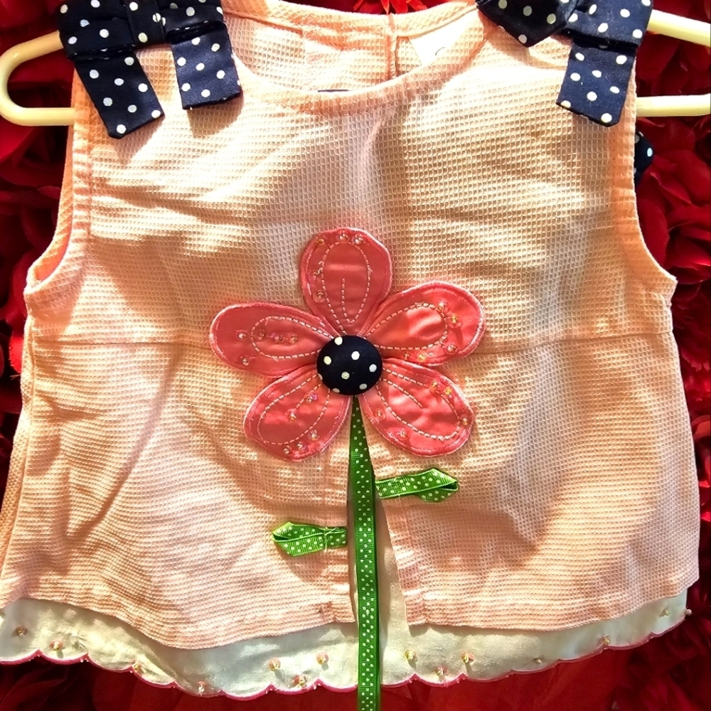 Rare Editions Girls 2T Flower Set with matching Polka Dot pants